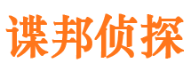 青河市私家侦探